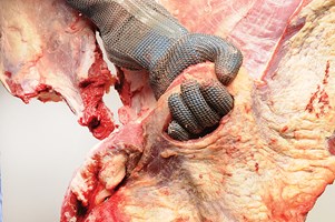 Neck and Chuck Eye bone in Meat Cut Spec Step 9
